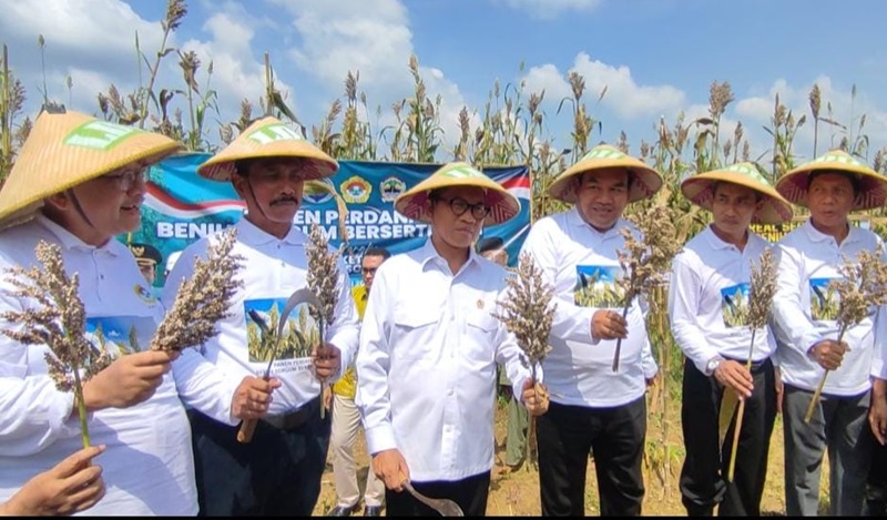 Potensi Sumber Daya Alam